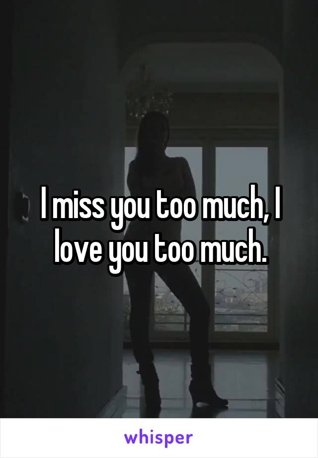 I miss you too much, I love you too much.