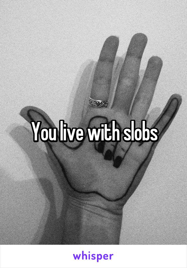 You live with slobs