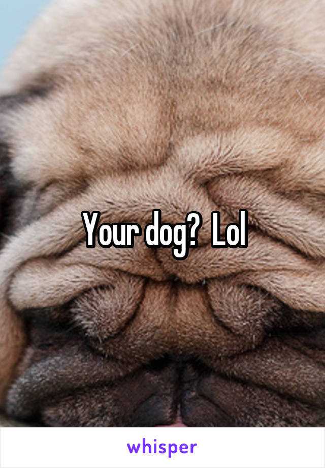 Your dog?  Lol