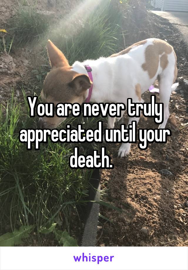 You are never truly appreciated until your death.  