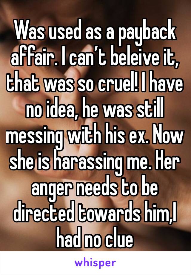 Was used as a payback affair. I can’t beleive it, that was so cruel! I have no idea, he was still messing with his ex. Now she is harassing me. Her anger needs to be directed towards him,I had no clue