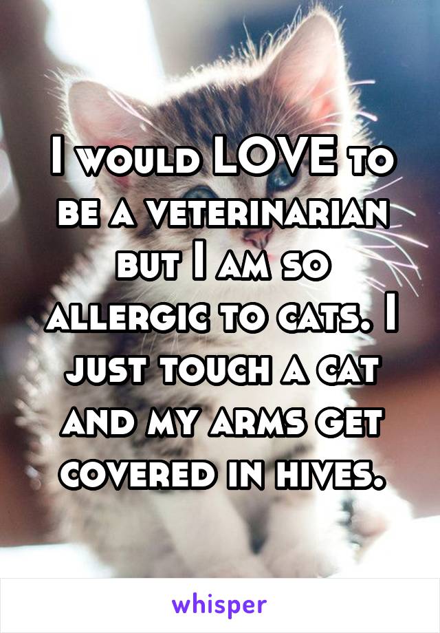 I would LOVE to be a veterinarian but I am so allergic to cats. I just touch a cat and my arms get covered in hives.