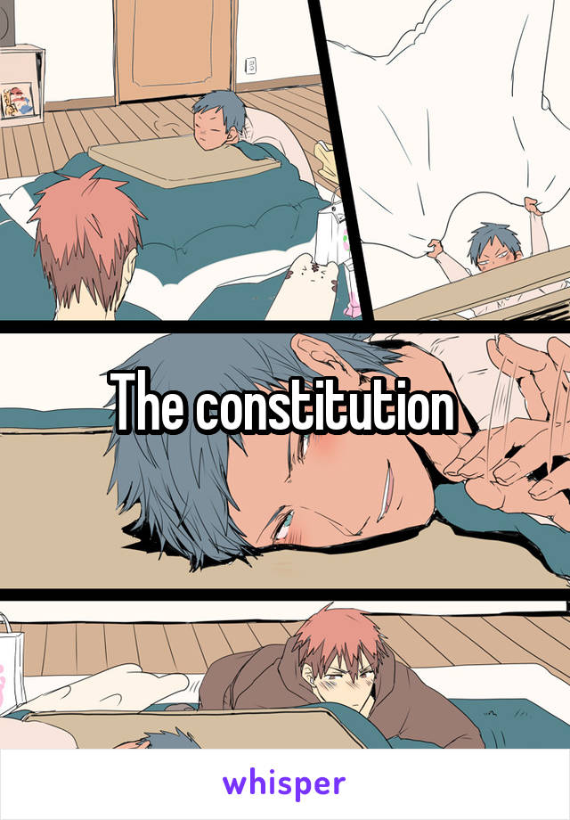 The constitution 