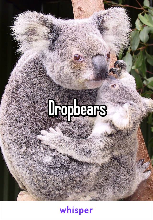 Dropbears