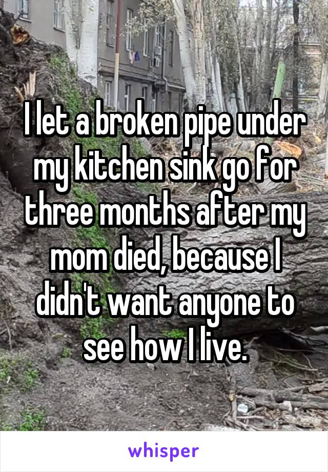 I let a broken pipe under my kitchen sink go for three months after my mom died, because I didn't want anyone to see how I live.