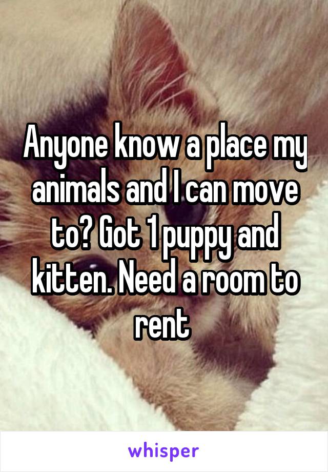 Anyone know a place my animals and I can move to? Got 1 puppy and kitten. Need a room to rent 
