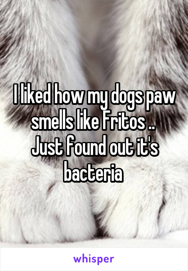 I liked how my dogs paw smells like Fritos .. 
Just found out it's bacteria 