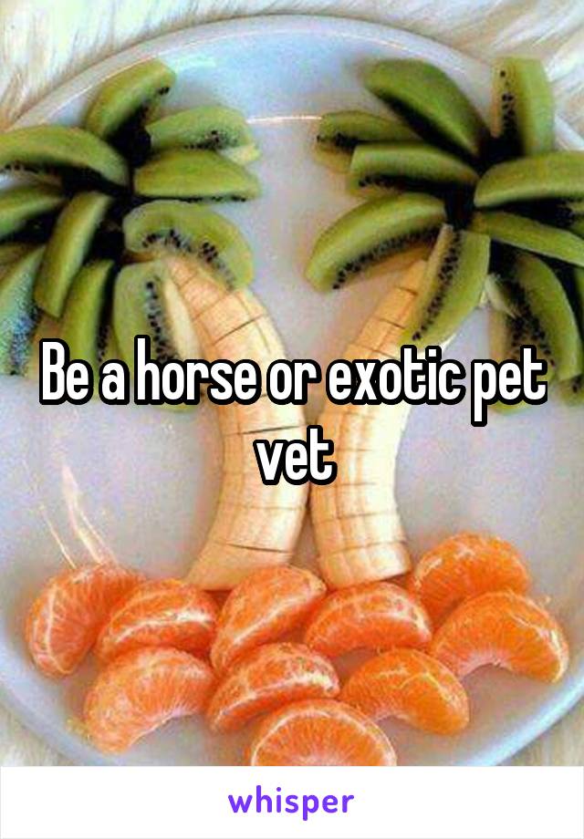 Be a horse or exotic pet vet