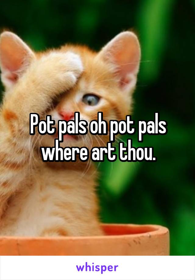 Pot pals oh pot pals where art thou.