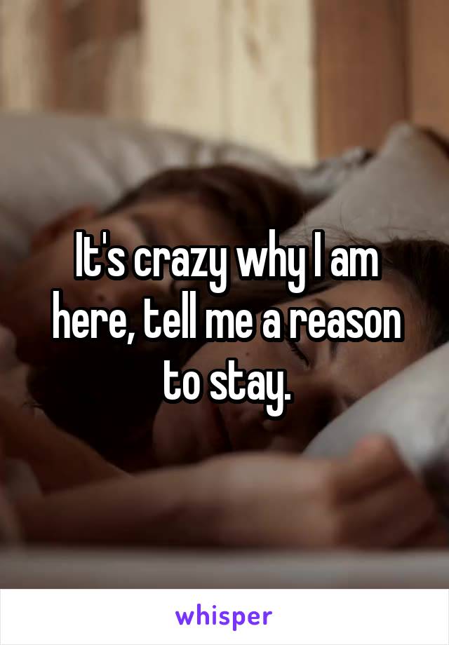It's crazy why I am here, tell me a reason to stay.