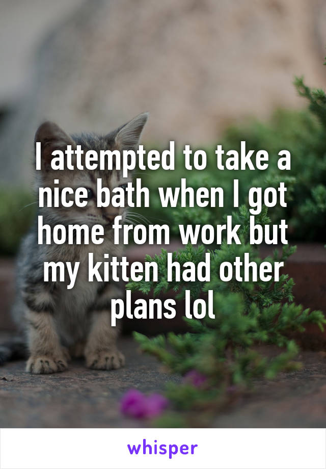 I attempted to take a nice bath when I got home from work but my kitten had other plans lol