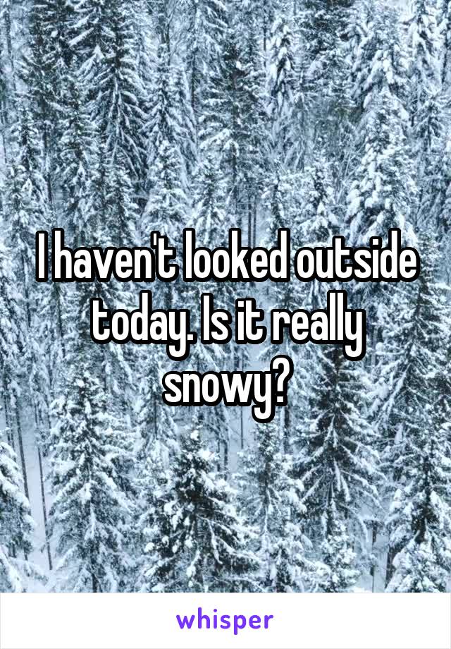 I haven't looked outside today. Is it really snowy?
