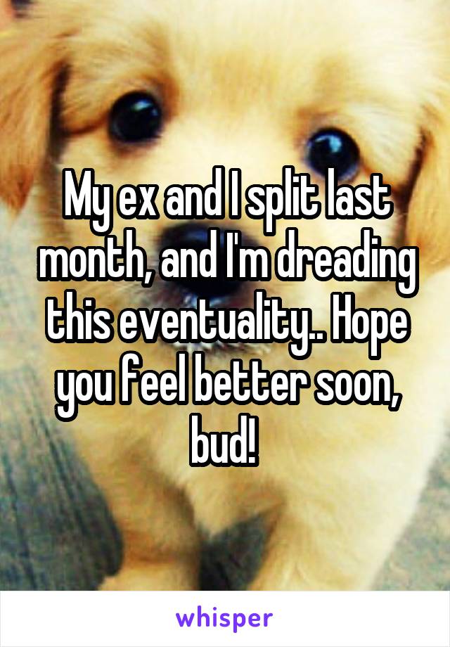 My ex and I split last month, and I'm dreading this eventuality.. Hope you feel better soon, bud! 