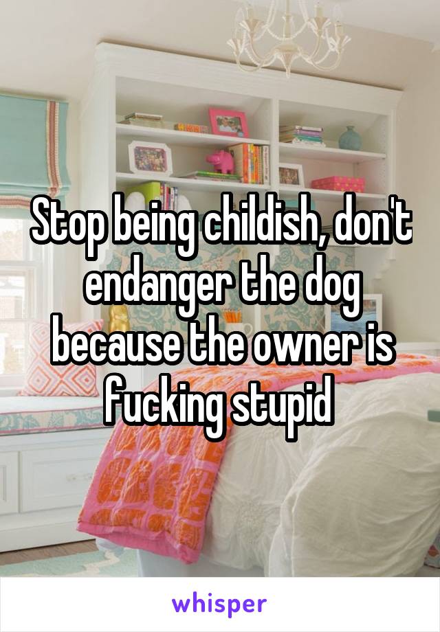Stop being childish, don't endanger the dog because the owner is fucking stupid 