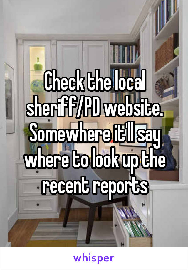 Check the local sheriff/PD website. Somewhere it'll say where to look up the recent reports