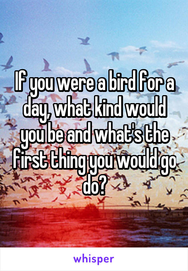 If you were a bird for a day, what kind would you be and what's the first thing you would go do?