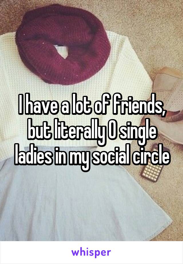 I have a lot of friends, but literally 0 single ladies in my social circle