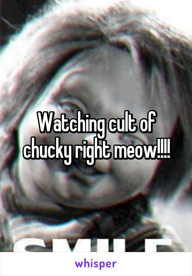 Watching cult of chucky right meow!!!!