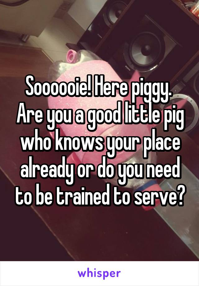 Soooooie! Here piggy.  Are you a good little pig who knows your place already or do you need to be trained to serve?