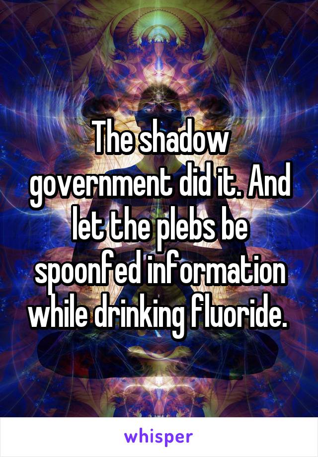 The shadow government did it. And let the plebs be spoonfed information while drinking fluoride. 