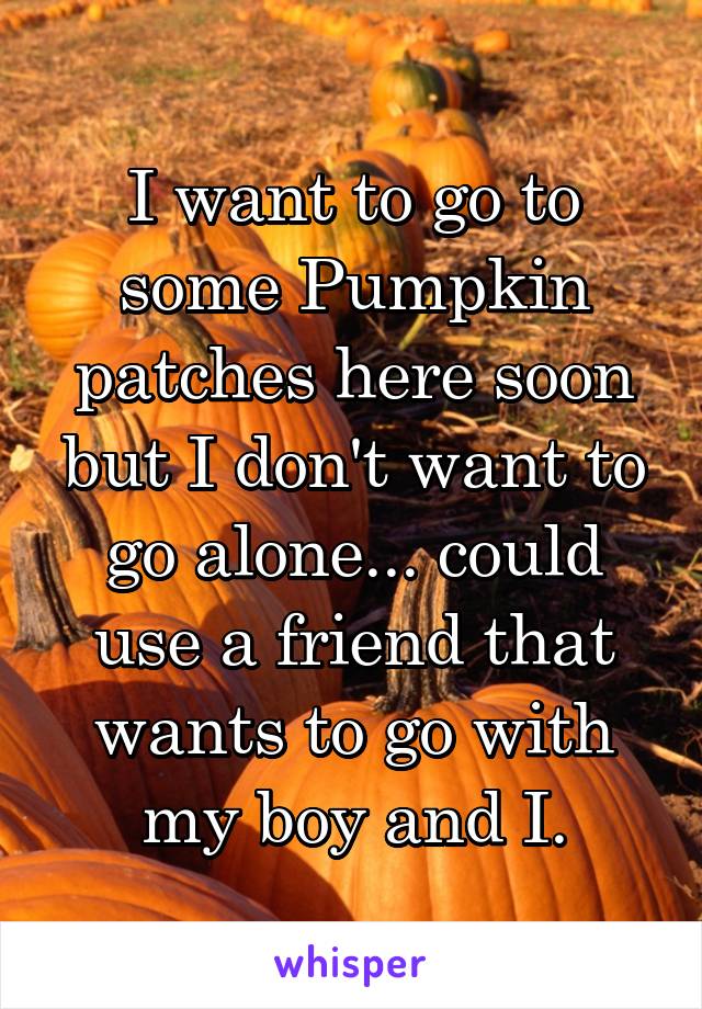 I want to go to some Pumpkin patches here soon but I don't want to go alone... could use a friend that wants to go with my boy and I.