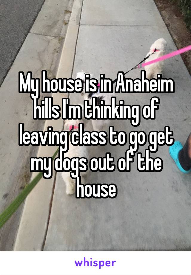 My house is in Anaheim hills I'm thinking of leaving class to go get my dogs out of the house