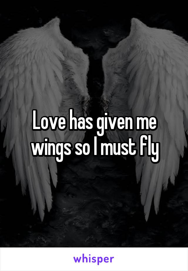 Love has given me wings so I must fly