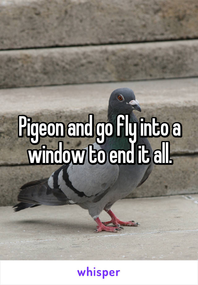 Pigeon and go fly into a window to end it all.