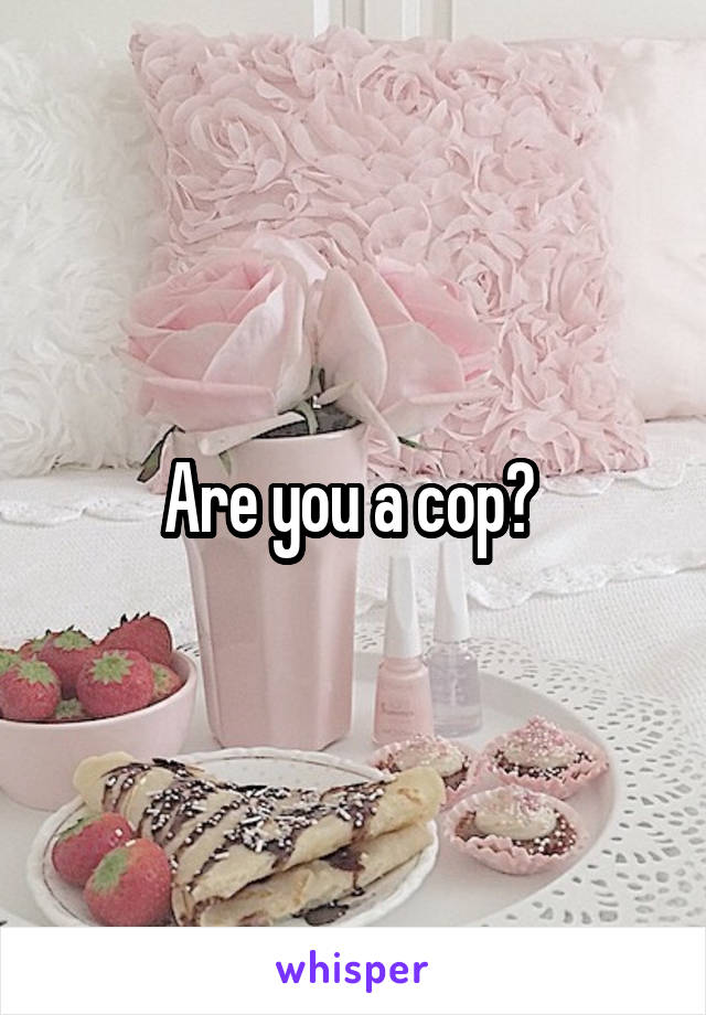 Are you a cop? 