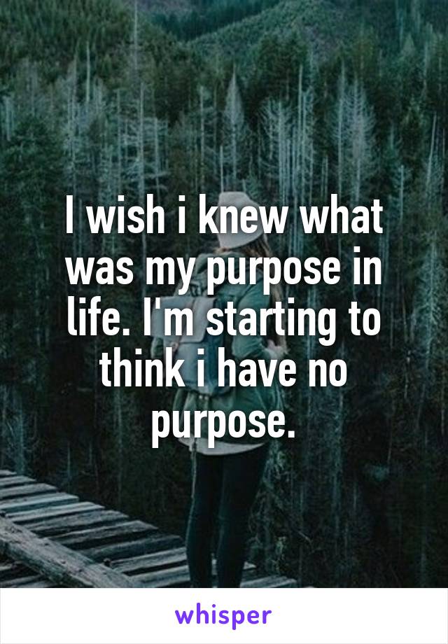 I wish i knew what was my purpose in life. I'm starting to think i have no purpose.