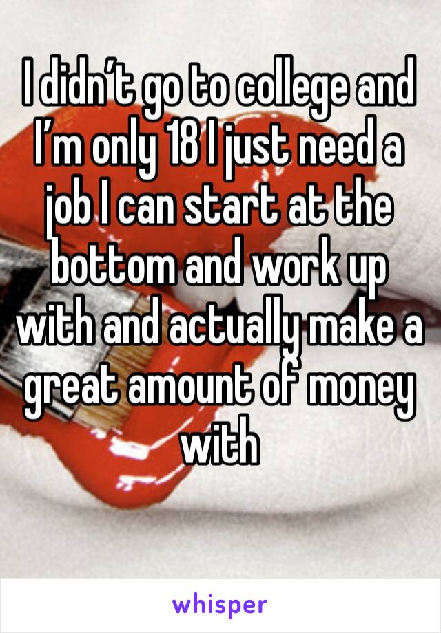 I didn’t go to college and  I’m only 18 I just need a job I can start at the bottom and work up with and actually make a great amount of money with 