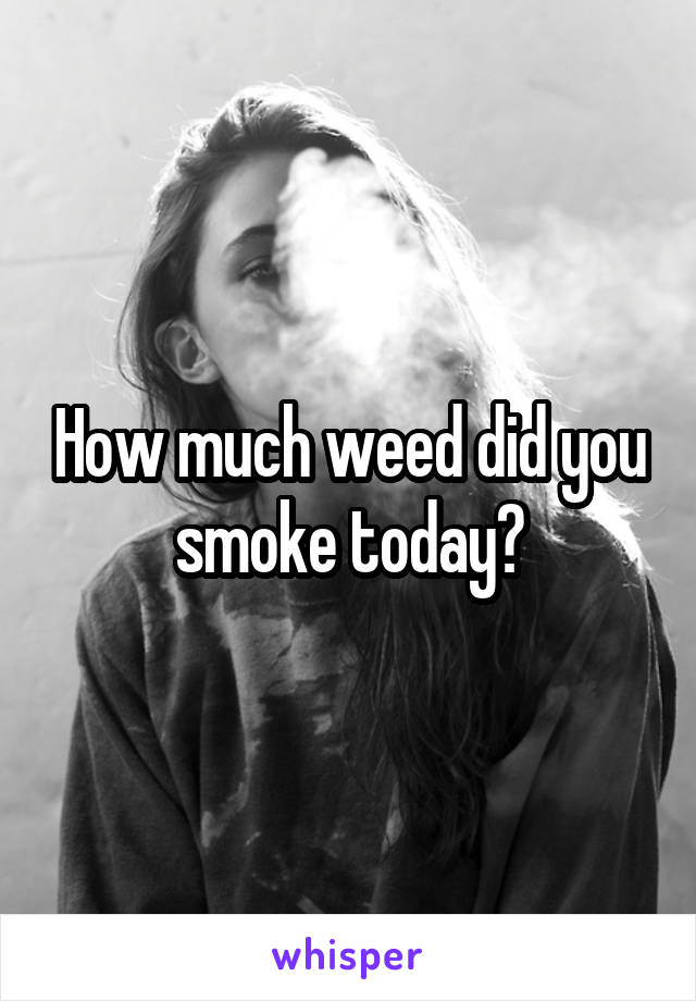 How much weed did you smoke today?