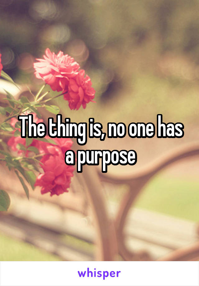 The thing is, no one has a purpose