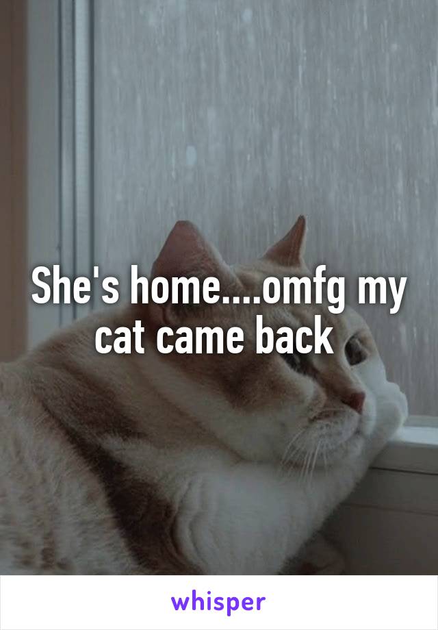 She's home....omfg my cat came back 