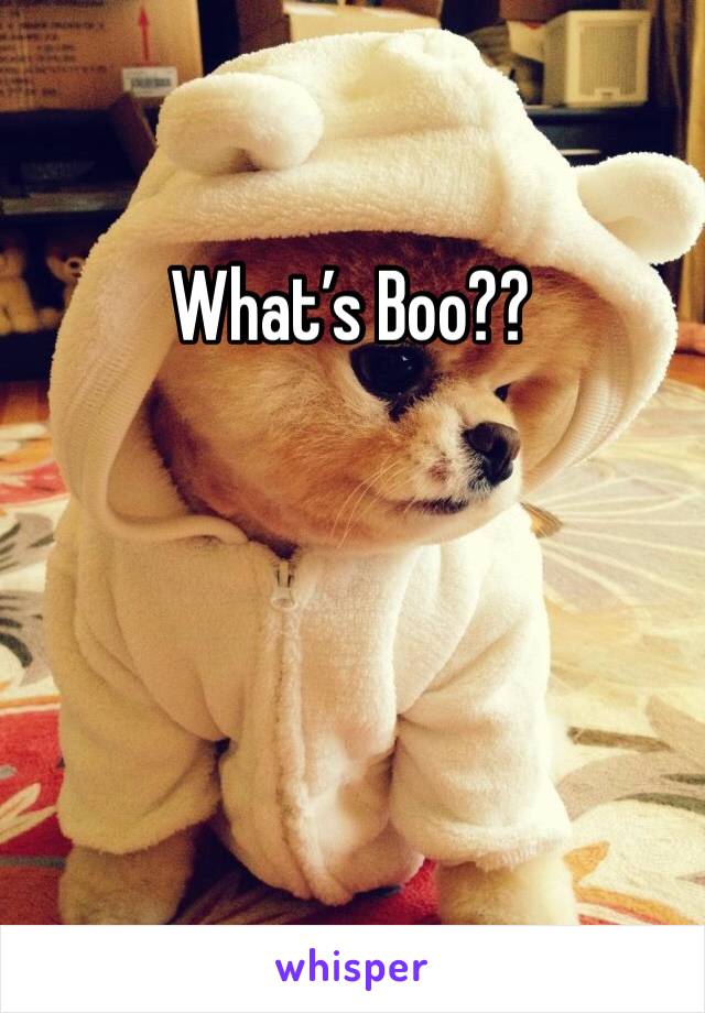 What’s Boo??