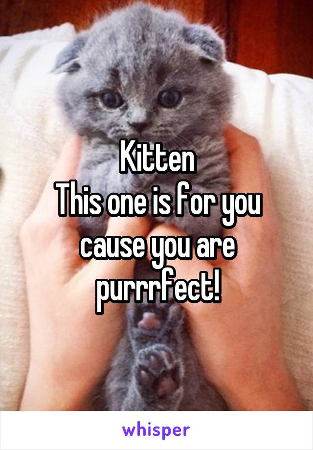 Kitten
This one is for you cause you are purrrfect!