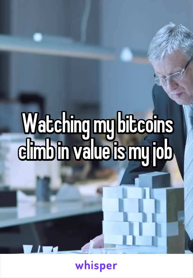 Watching my bitcoins climb in value is my job 