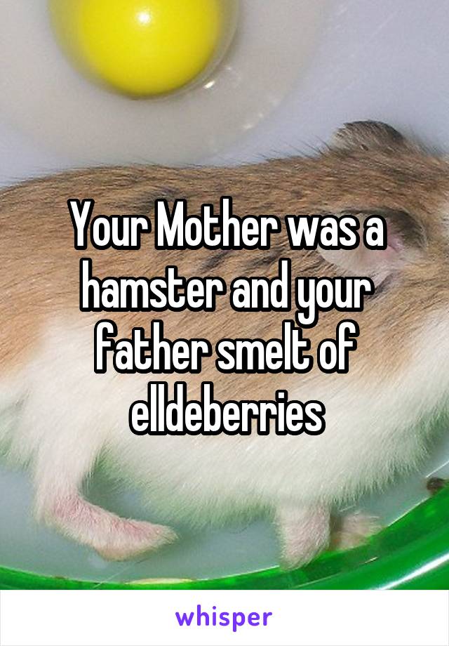Your Mother was a hamster and your father smelt of elldeberries