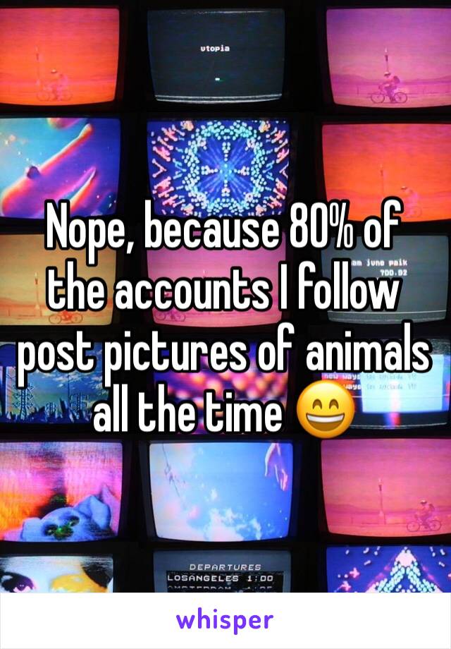 Nope, because 80% of the accounts I follow post pictures of animals all the time 😄