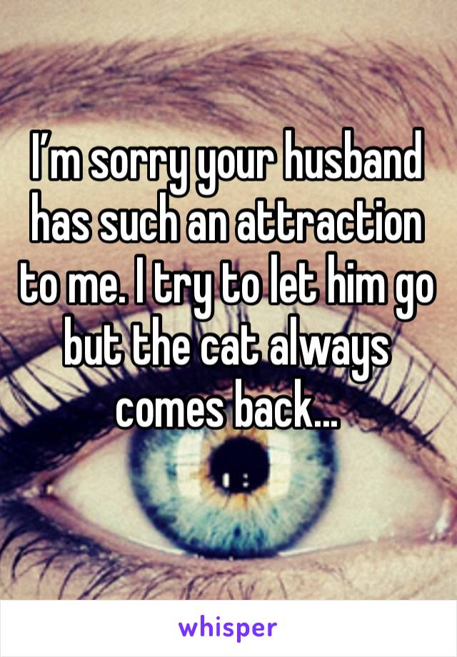 I’m sorry your husband has such an attraction to me. I try to let him go but the cat always comes back...