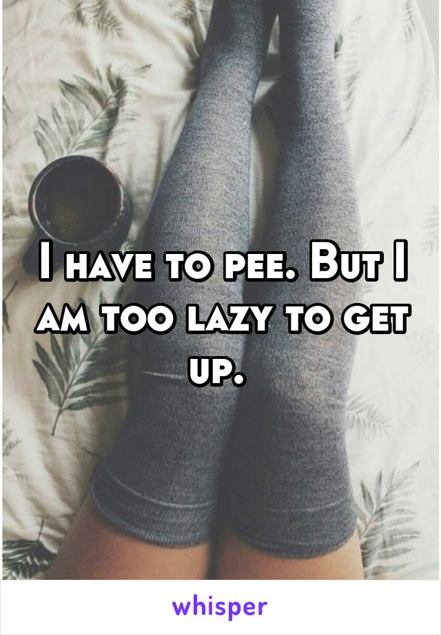 I have to pee. But I am too lazy to get up. 