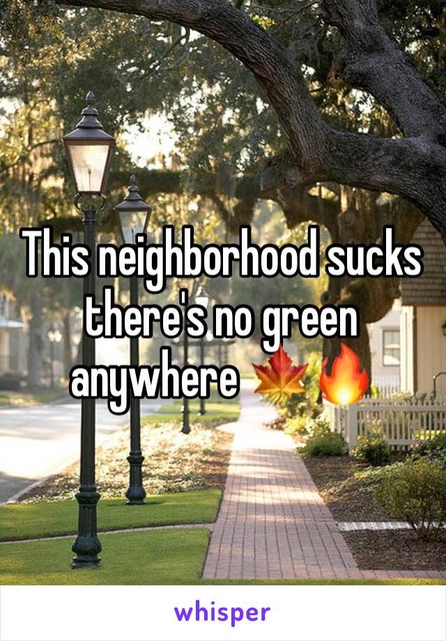 This neighborhood sucks there's no green anywhere 🍁🔥
