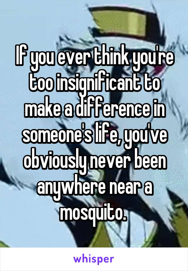 If you ever think you're too insignificant to make a difference in someone's life, you've obviously never been anywhere near a mosquito. 