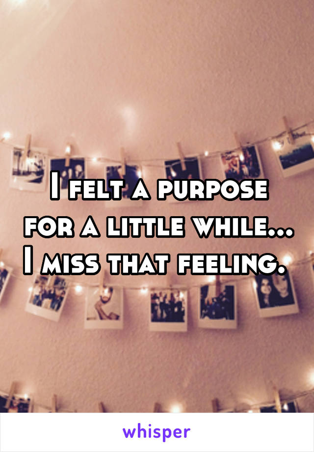 I felt a purpose for a little while... I miss that feeling. 