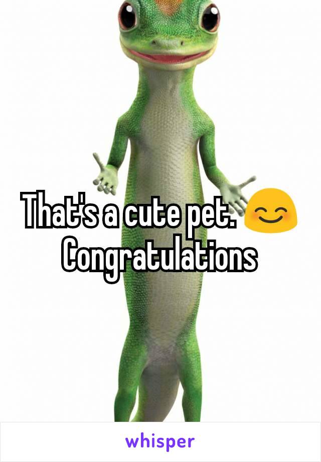 That's a cute pet. 😊
Congratulations