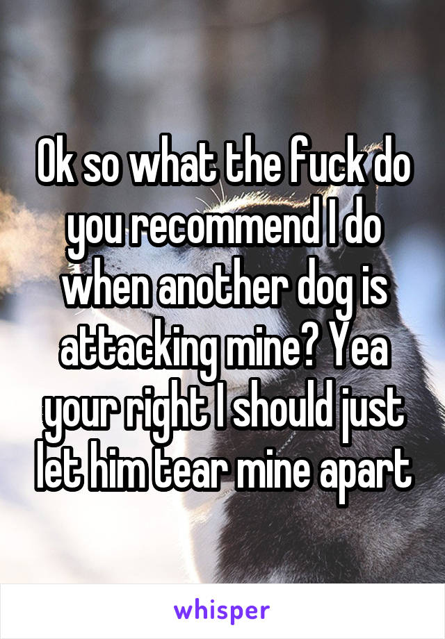 Ok so what the fuck do you recommend I do when another dog is attacking mine? Yea your right I should just let him tear mine apart