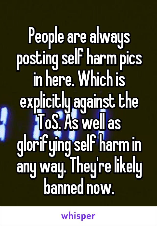 People are always posting self harm pics in here. Which is explicitly against the ToS. As well as glorifying self harm in any way. They're likely banned now.