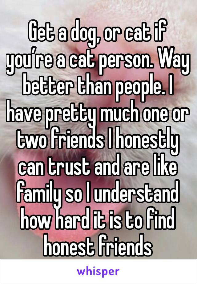 Get a dog, or cat if you’re a cat person. Way better than people. I have pretty much one or two friends I honestly can trust and are like family so I understand how hard it is to find honest friends