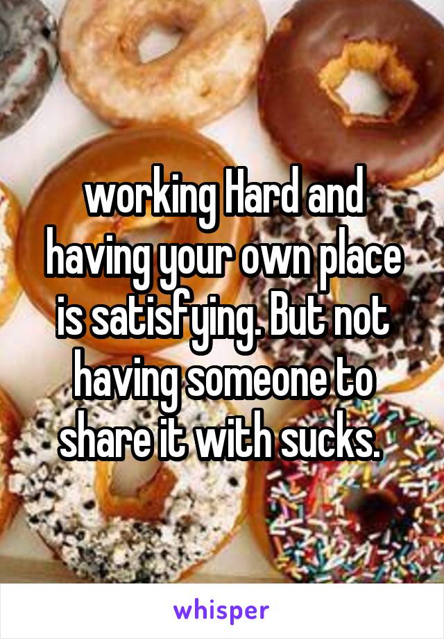 working Hard and having your own place is satisfying. But not having someone to share it with sucks. 