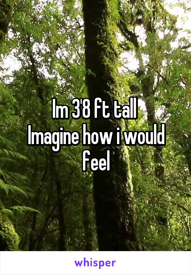 Im 3'8 ft tall 
Imagine how i would feel